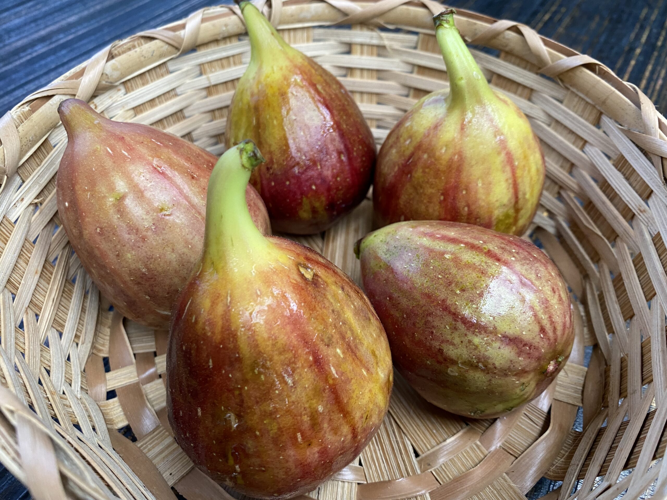 いちじくの最高峰「ブラックマデイラ」が来年食べれるかも！な南伊豆町